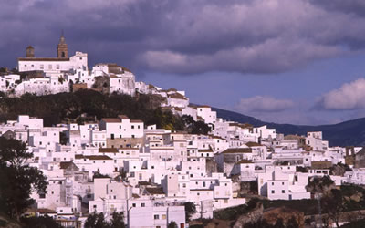 alcala-de-los-gazules.jpg