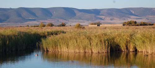 Las Tablas de Daimiel