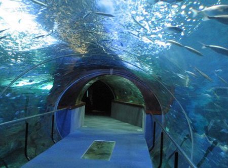 aquarium-san-sebastian