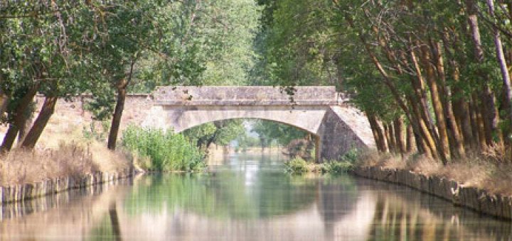 El Canal de Castilla 4